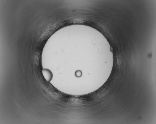 X0000115720311200912031556