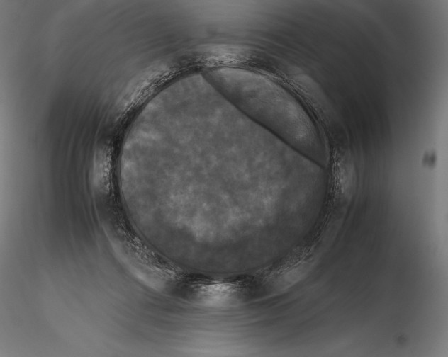 X0000115720312200912031556
