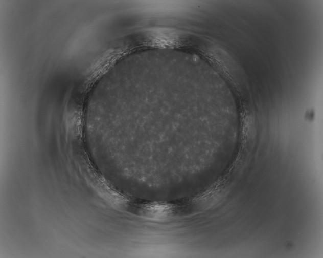 X0000115720313200912031556