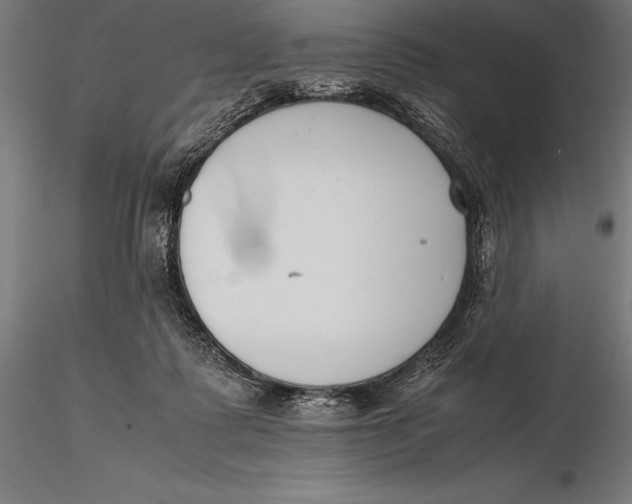 X0000115720315200912031556