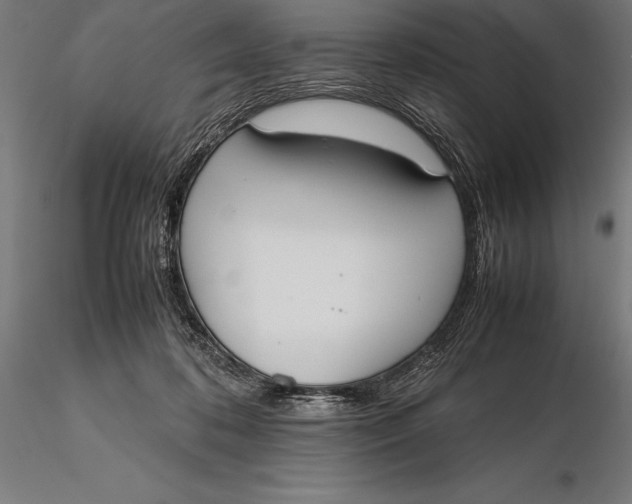 X0000115720316200912031556