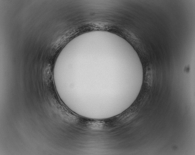 X0000115720318200912031556