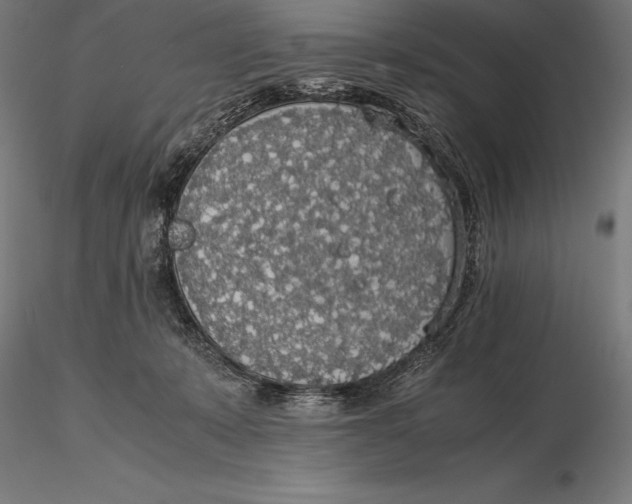 X0000115720319200912031556