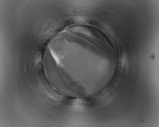 X0000115720320200912031556