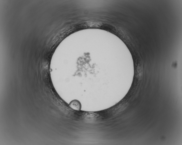 X0000115720321200912031556