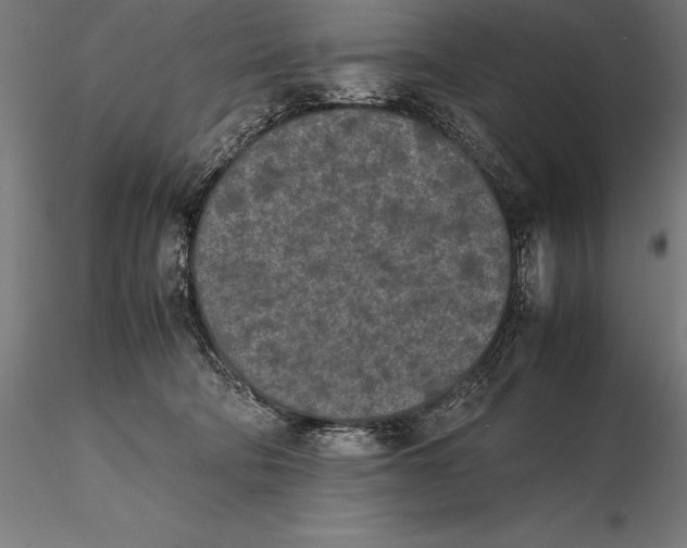 X0000115720322200912031556