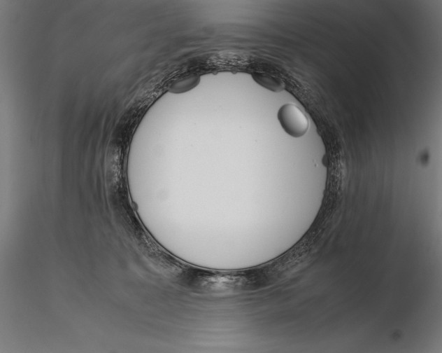 X0000115720323200912031556