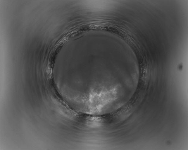 X0000115720324200912031556