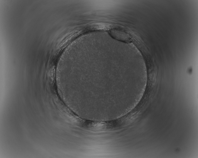 X0000115720325200912031556