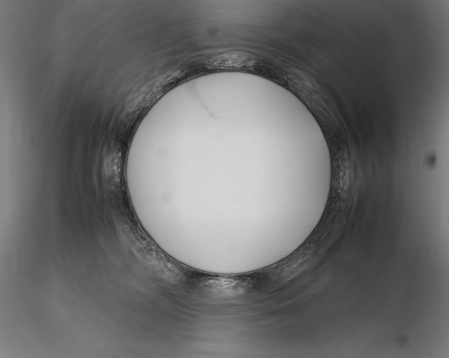X0000115720326200912031556