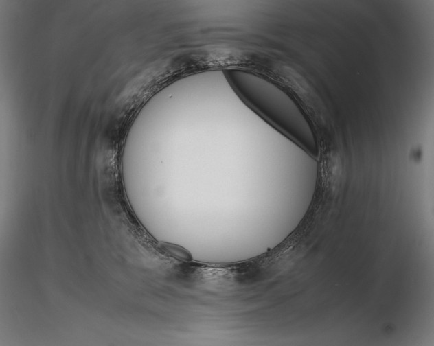 X0000115720327200912031556