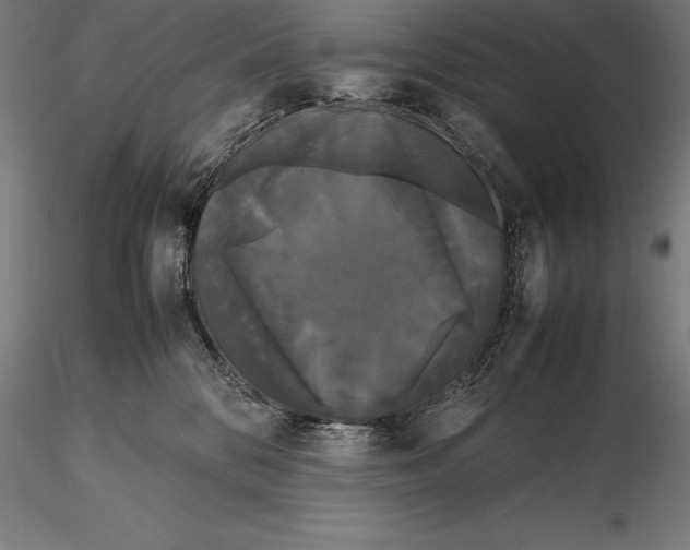 X0000115720328200912031556