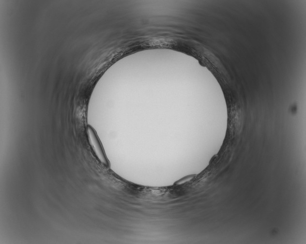 X0000115720329200912031556