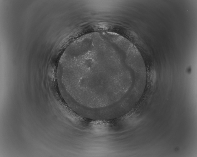 X0000115720331200912031556