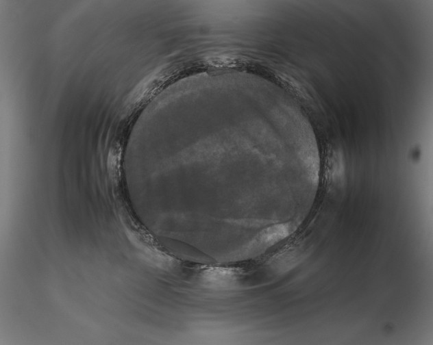 X0000115720332200912031556