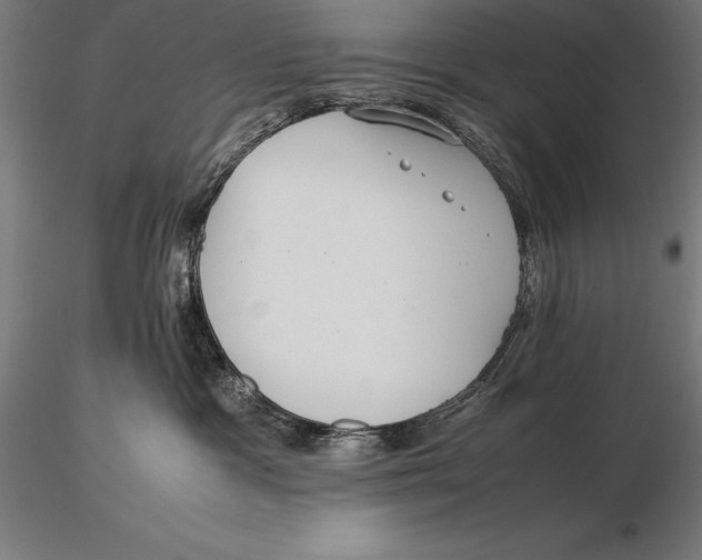 X0000115720333200912031556
