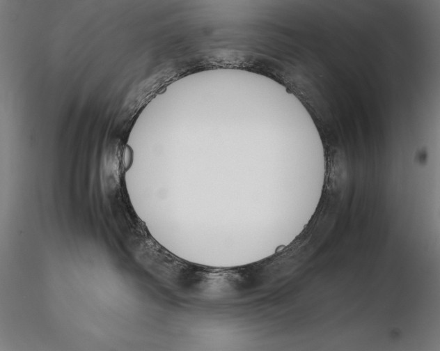 X0000115720334200912031556