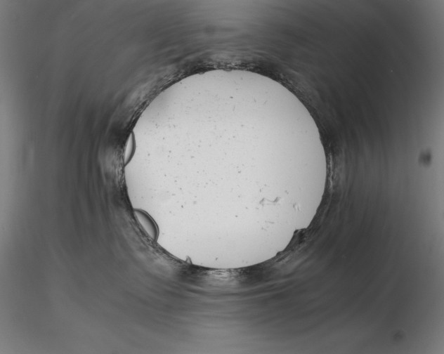 X0000115720335200912031556