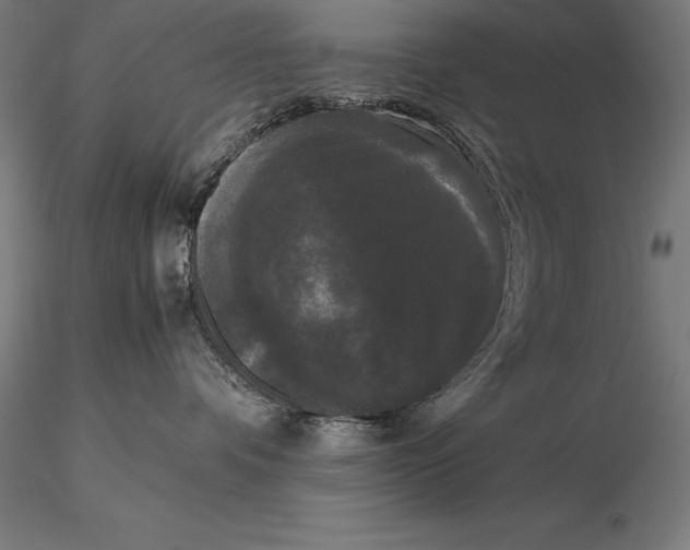 X0000115720336200912031556