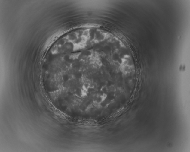X0000115720337200912031555