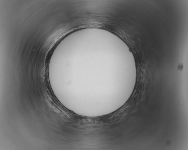 X0000115720338200912031555