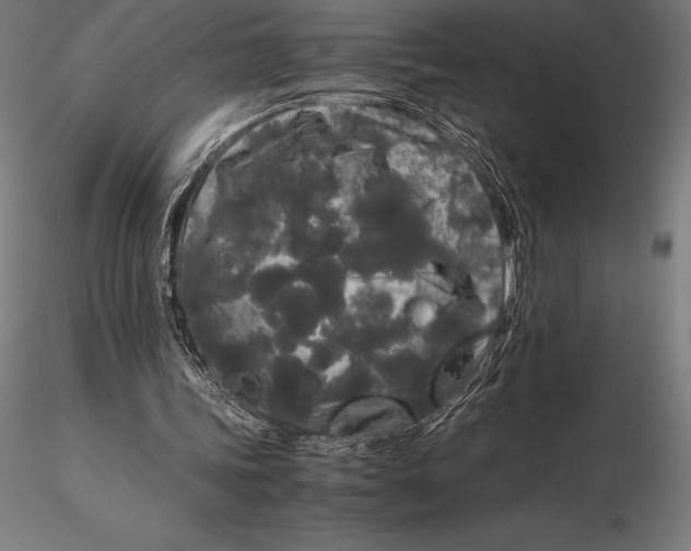X0000115720339200912031555