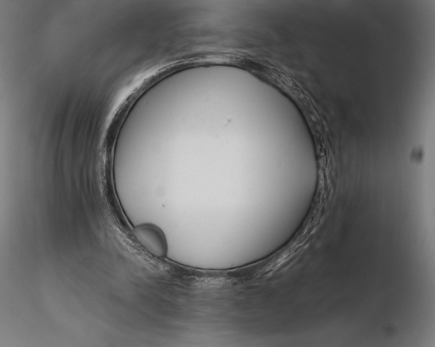 X0000115720342200912031555
