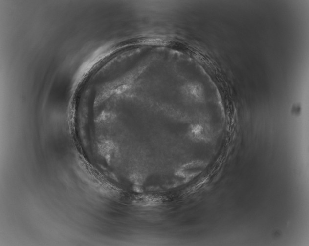 X0000115720343200912031555