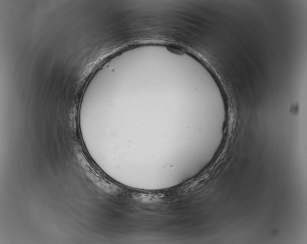 X0000115720345200912031555