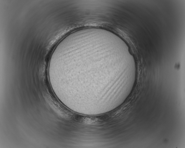X0000115720346200912031555