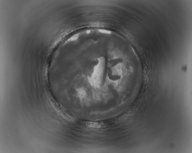 X0000115720347200912031555