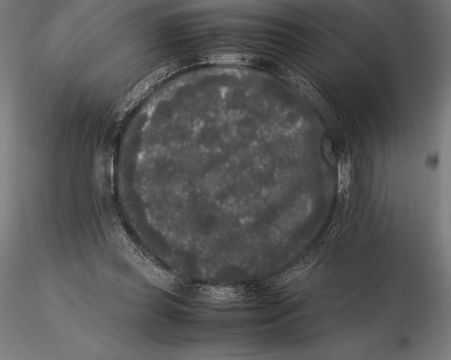 X0000115720349200912031555