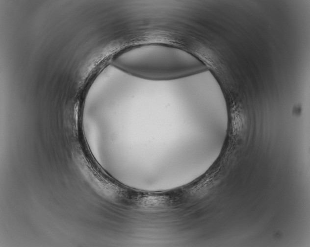 X0000115720350200912031555