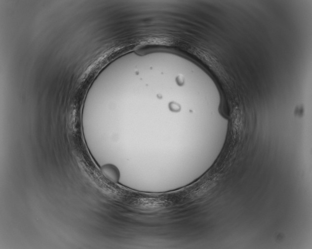 X0000115720351200912031555
