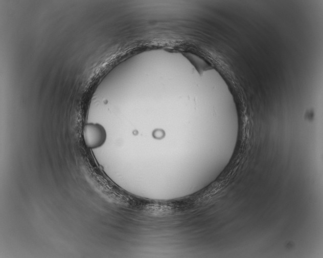 X0000115720354200912031556