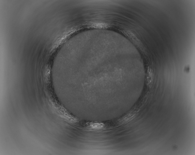 X0000115720355200912031556