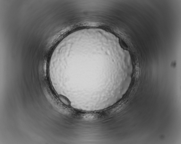 X0000115720358200912031556