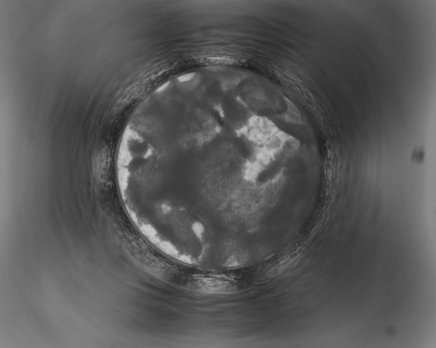X0000115720359200912031556