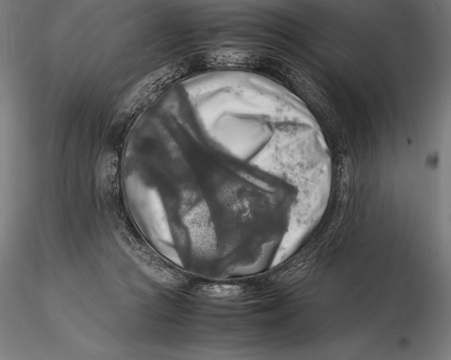 X0000115720361200912031556