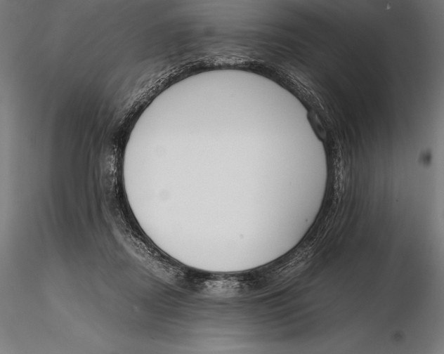 X0000115720362200912031556