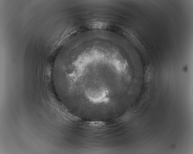 X0000115720363200912031556