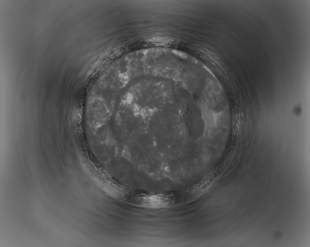 X0000115720365200912031556