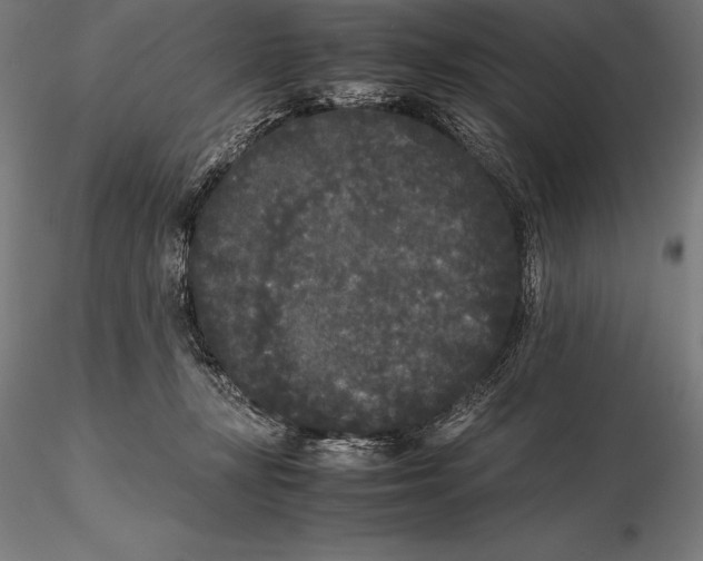 X0000115720367200912031556