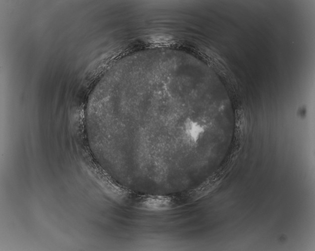 X0000115720369200912031556