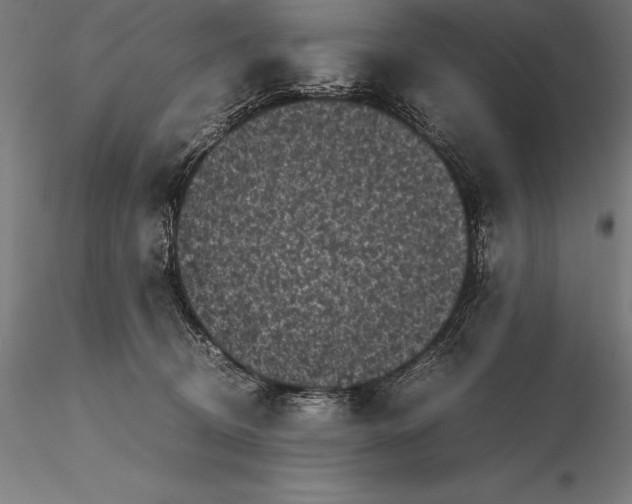 X0000115720370200912031556