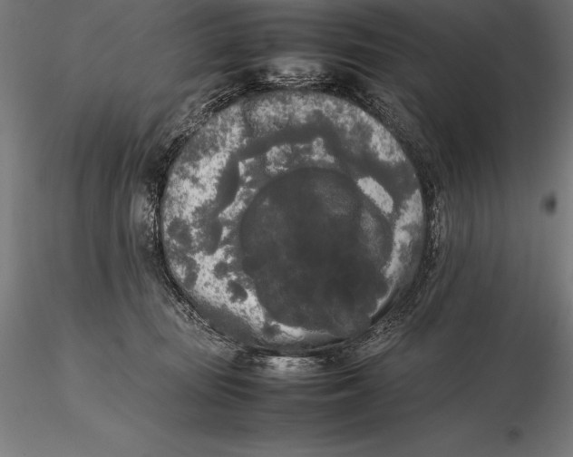 X0000115720371200912031556