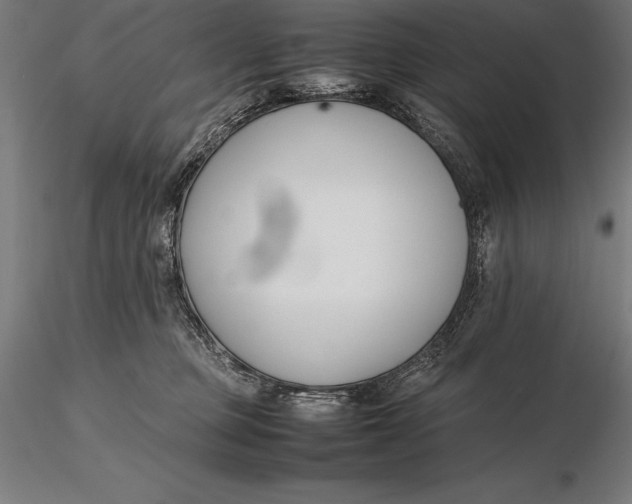 X0000115720373200912031556