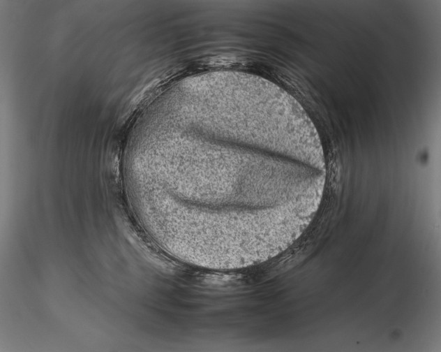 X0000115720375200912031556