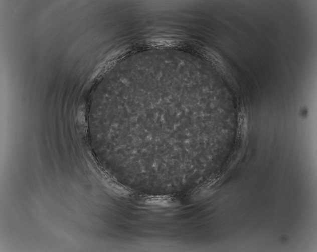 X0000115720377200912031556