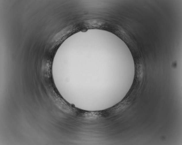 X0000115720378200912031556